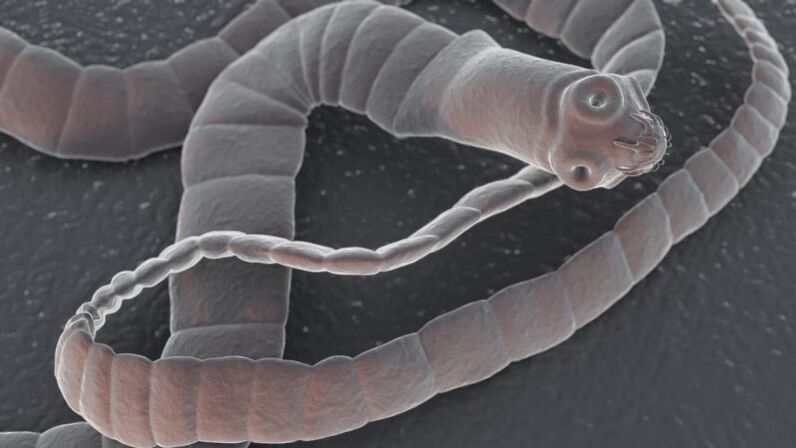 Oralgizmdeki parazitler